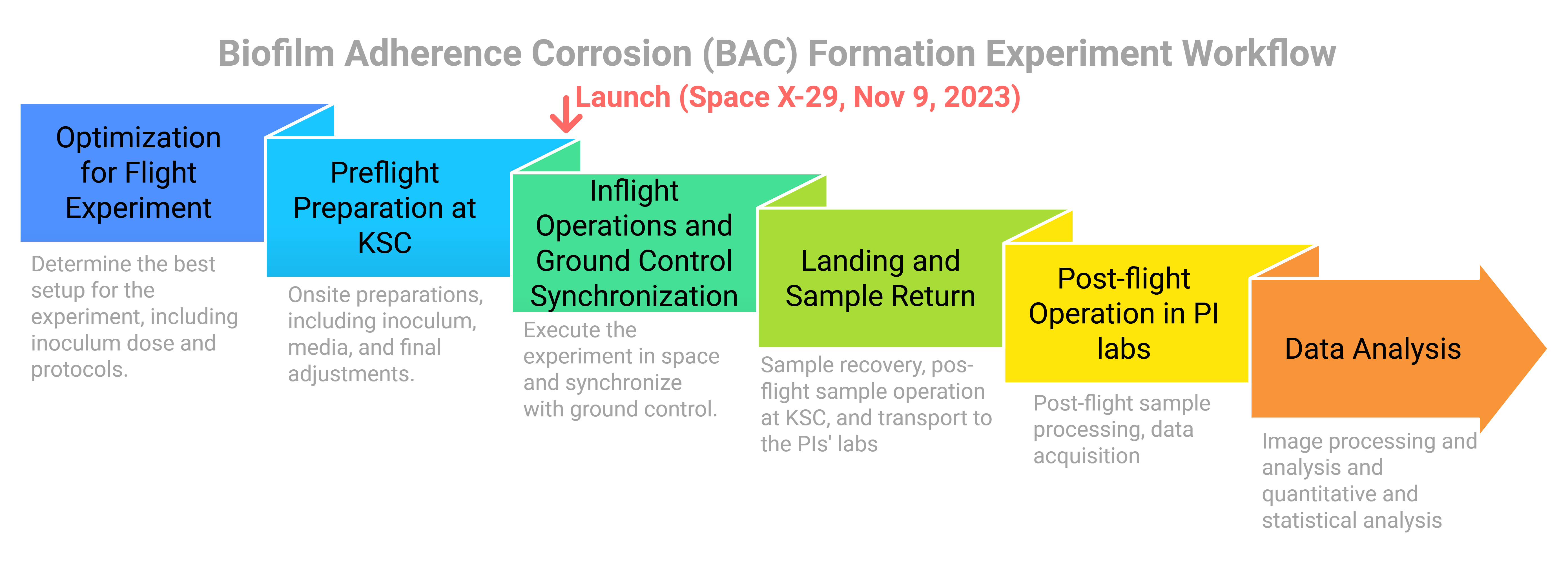 Key Milestones in Microbial Pathogenesis and Space Microbiology Research